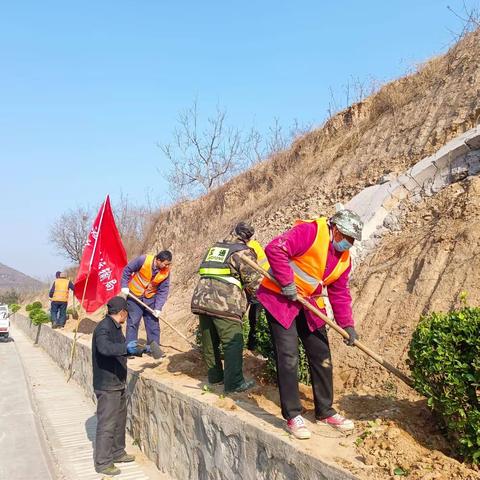 春风吹新绿，植树正当时！