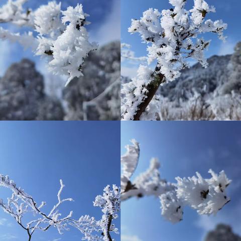 普禅山——遇见初雪