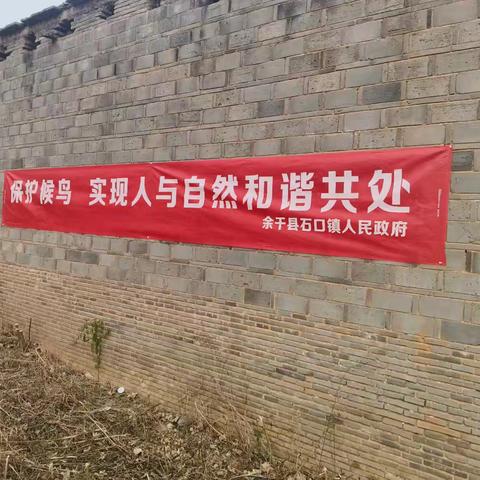 开展“天网”清除，保护野生动物-石口镇永安社区文明实践站