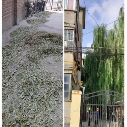 我为业主办实事