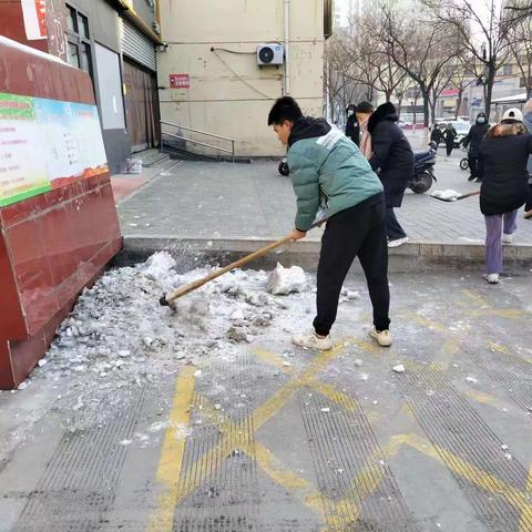 清雪除冰暖人心     保障出行解民忧——园林中心白鹤公园服务中心