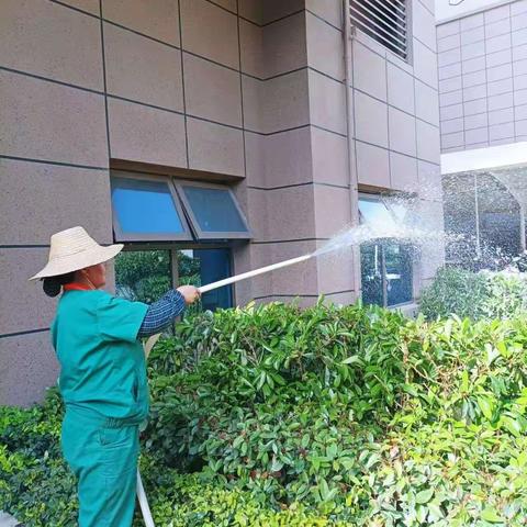 只因深爱     美好守护