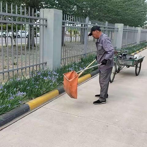 深国际·天津西青综合物流港4月份第四周工作简报