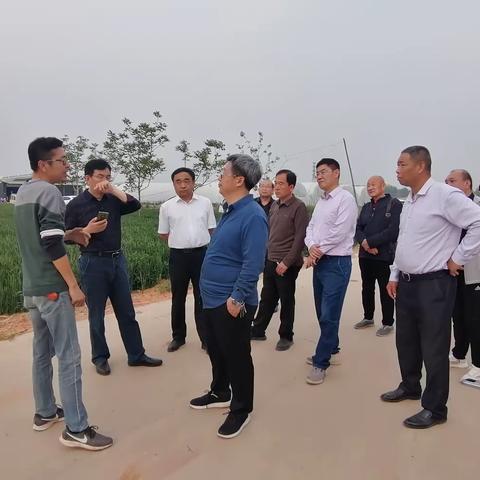 河北省农业农村厅渔业专家到金安村调研＂鱼菜共生＂基地升级改造项目
