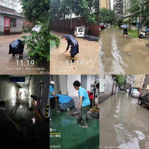 直面风雨 闻汛出击——雁基物业防汛工作在行动