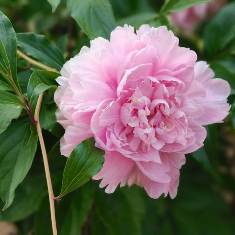 国家安全教育培训