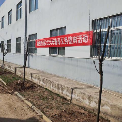 义务植树，美化家园—油槐街道开展义务植树活动