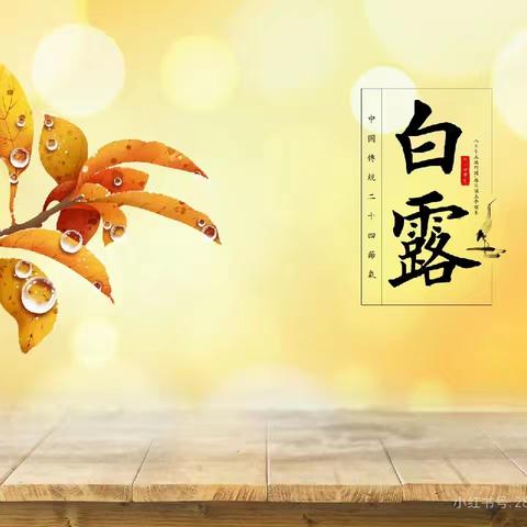 【全环境立德树人】秋风生白露，露至秋意浓——武城县第九幼儿园白露节气主题活动