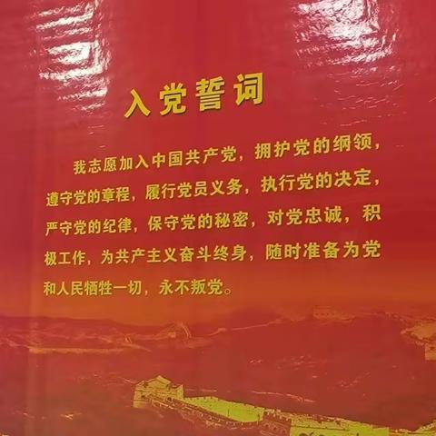 “重温入党誓词、汲取奋进力量” 主题党日活动