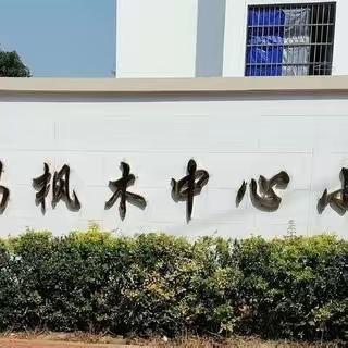 教学研讨促提升——枫木中心小学第12周教研课活动