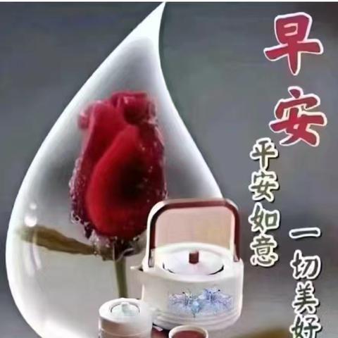 完美是不断反思与纠正的结果