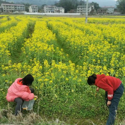 前团村童伴之家开展“春暖花开”主题活动