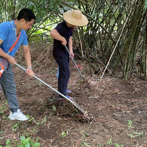 灵山镇新琼村持续开展农村人居环境卫生整治活动