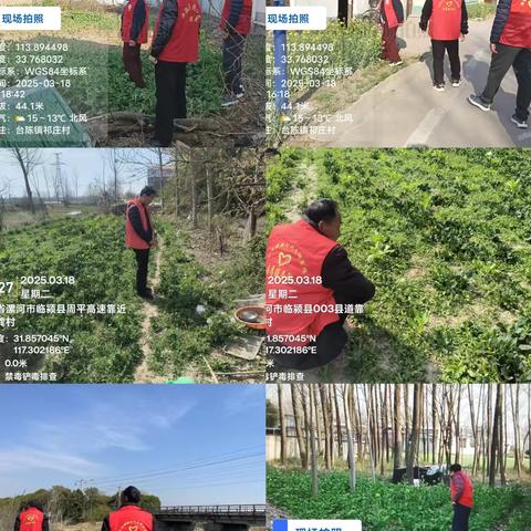 台陈镇开展——禁种铲毒踏查专项行动