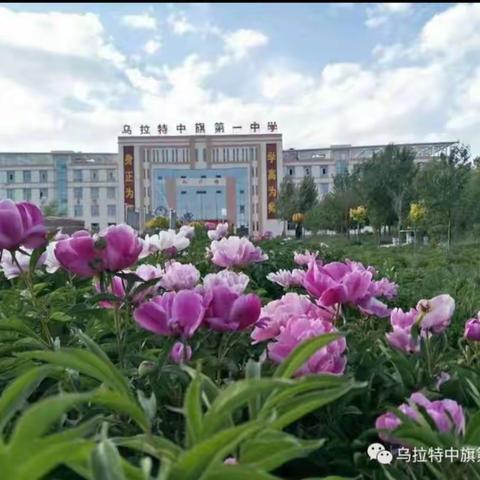 领悟新课标，设计大单元