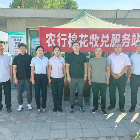 石河子兵团分行党委委员、副行长张三立深入花园支行棉花兑现服务点开展调研
