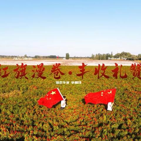 金秋攻坚正当时——花园兵团支行开展系列主题活动纪实（三）