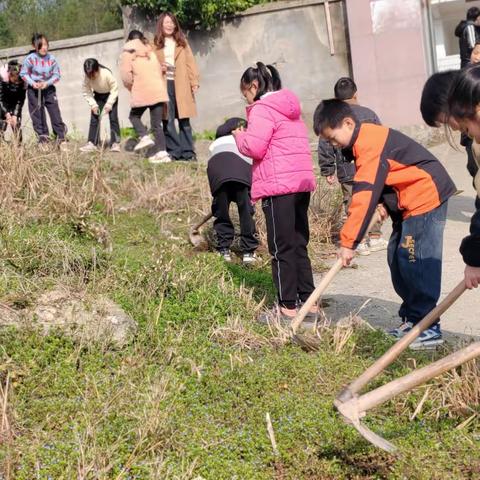 迎春风，植新绿，我与小树共成长——梅田小学2024年3月11日植树节活动