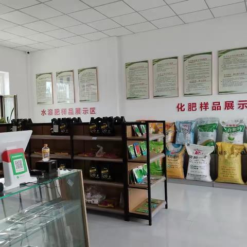 金塔县供销社深化基层改革 显著推进供销服务升级