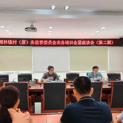 以“三化”促提升  强化监督效能——椰林镇召开2025年村（居）务监督委员会第二期业务培训暨座谈会