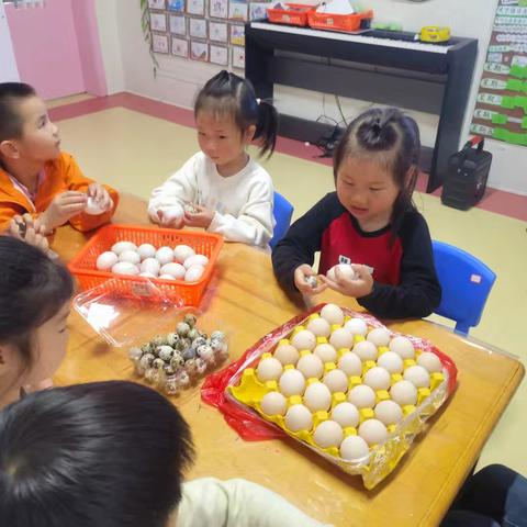 《奇妙的蛋》 —腊市镇中心幼儿园中（2）班