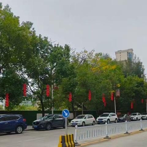 净美家园焕新颜 暖心护航迎新春