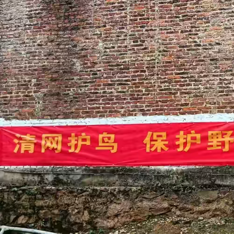 保护野生动物人人有责