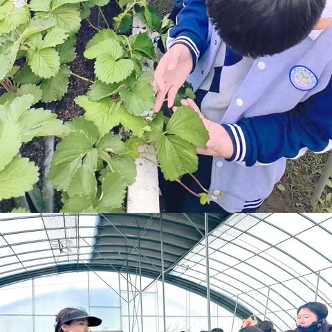 【振小·向美少年】研学实践，快乐成长——徐州市振兴路小学四至六年级秋季研学活动