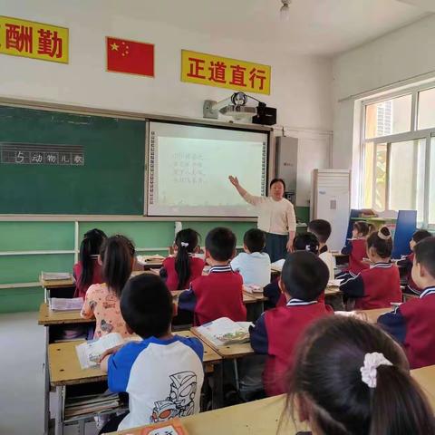 聚焦课堂，“双减”提质——北关小学“356”高效课堂语文展示活动