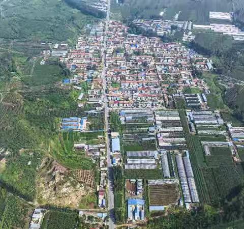 党建引领聚合力   强基赋能促振兴