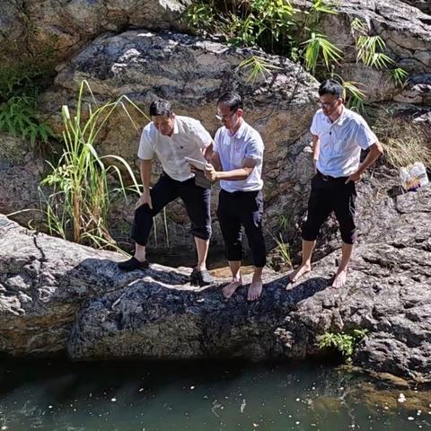 陈国梁市长到番阳镇调研