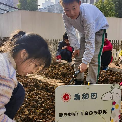 耕耘田园，劳动创造美好生活