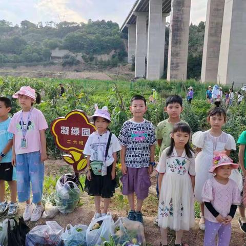 “向阳而生，瓜果飘香”平凉市拂晓小学二六班“凝绿园”采摘活动