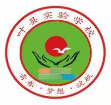 笔墨灼灼抒真情 小荷尖尖展风采 ——叶县实验学校小学部作文竞赛活动纪实