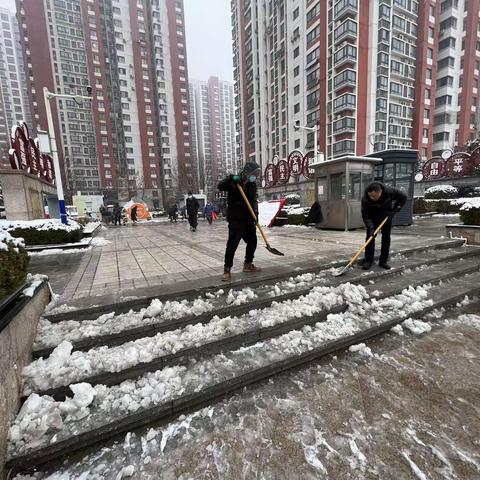 杆石桥街道积极开展清雪温暖行志愿服务行动