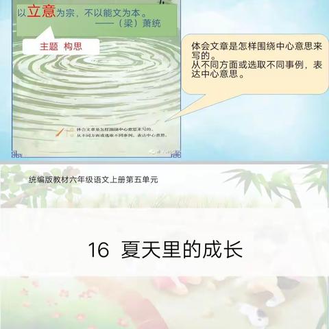 以批注展教学，以有效促能力——六年级《16.夏天里的成长》校内研究课