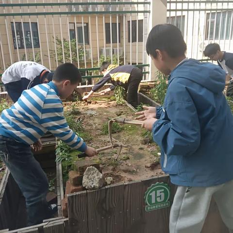 落实双减政策，二小在行动——五（1）班劳动实践