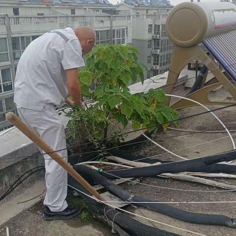 带着六月的未完成在七月奔跑起来，不一定要乘风破浪 但一定要向阳而生