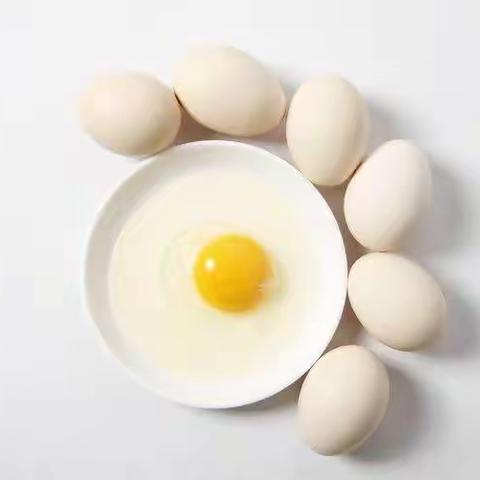 鸡蛋送给您，心意全部到——梁邹银行“鸡蛋银行节”活动开始啦！