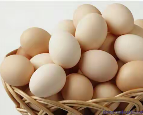 18号鸡蛋银行活动来了——梁邹银行高港便民服务点