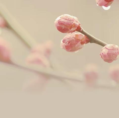 【我们的新时代】延凤社区开展“遇见夏天·伞韵悠扬”彩绘油纸伞主题活动