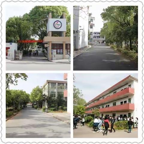 有这么一所学校