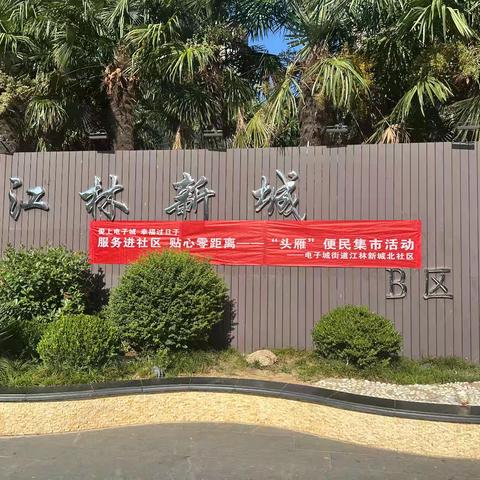 “爱上电子城，幸福过日子”——江林新城北社区开展“头雁”便民集市活动