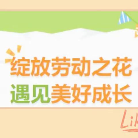 绽放劳动之花，遇见美好成长— —2023-2024学年满城区神星镇石家佐村学校双减劳动技能竞赛