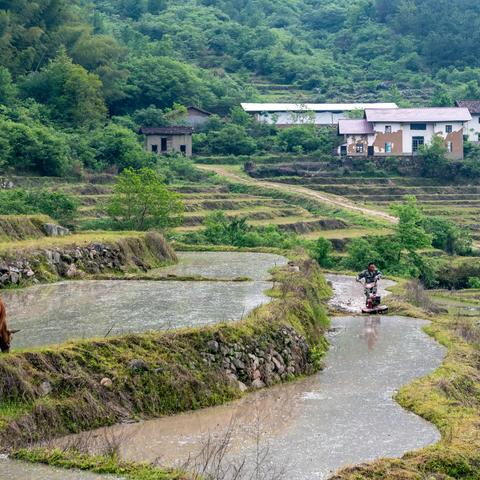 万安流源采风