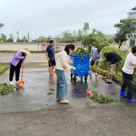 丰兴社区开展台风“麦德姆”灾后恢复工作