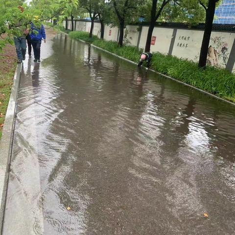 浴“雨”奋战