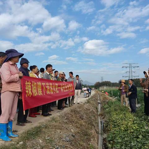 保亭黎族苗族自治县农业服务中心举办2024-2025年度基层农技推广体系改革与建设补助项目农业主推技术推广田间现场培训