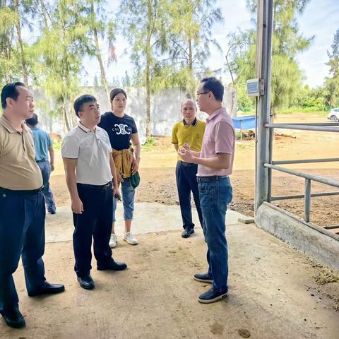 临高县乡村振兴局和临高县农业农村局联合开展乡村振兴产业项目调研工作