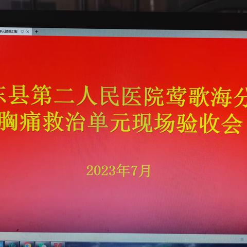 乐东县第二人民医院医共体莺歌海分院举行胸痛救治单元建设现场验收